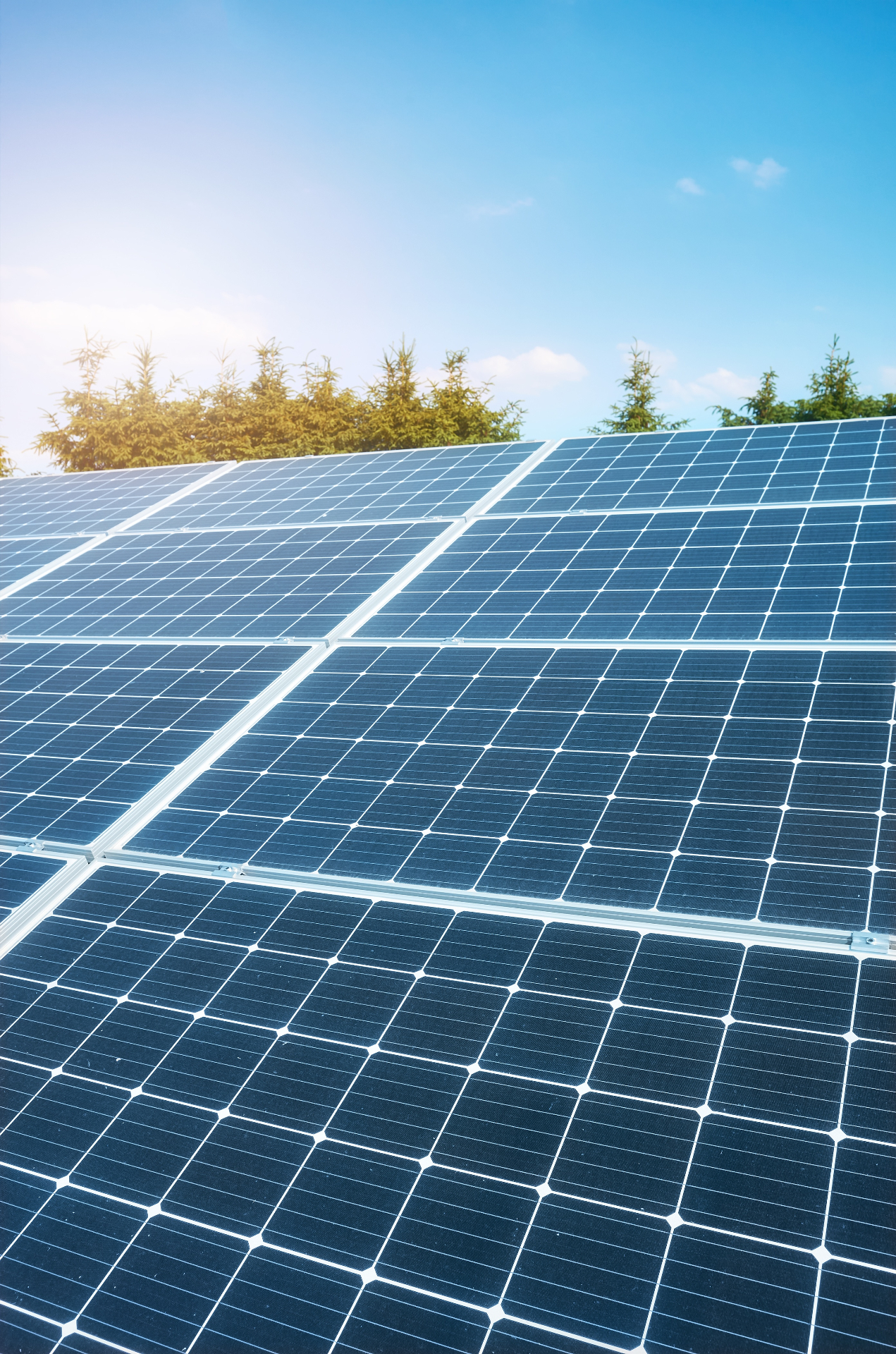 Utility-scale solar panels under a clear blue sky
